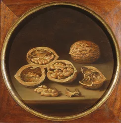 A Still Life of Cracked Walnuts resting on a Stone Ledge